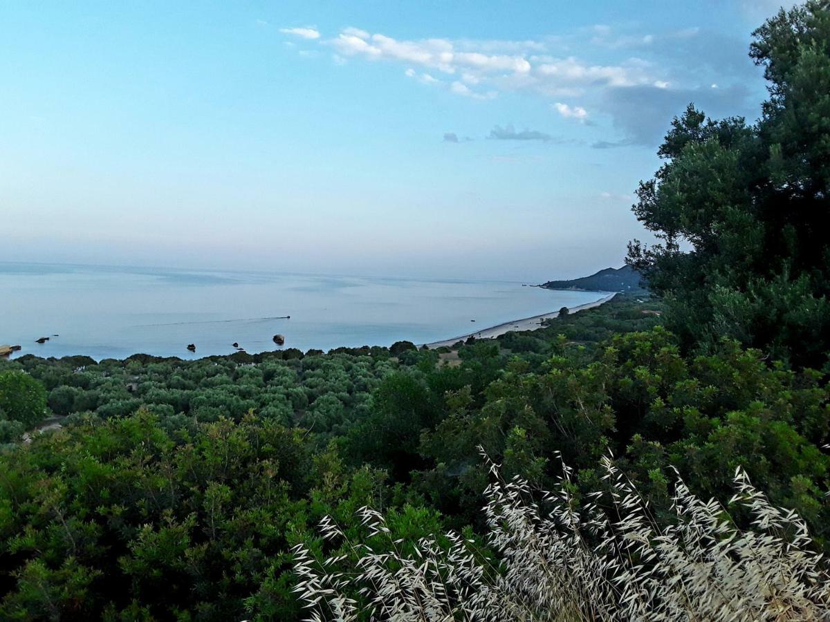 Athanasios Tsoumas Apartments Kastrosikia Luaran gambar