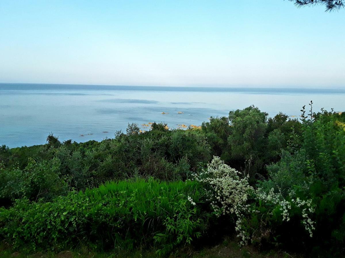 Athanasios Tsoumas Apartments Kastrosikia Luaran gambar